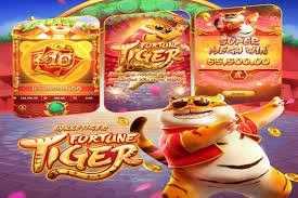 535 bet login